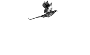 lwlogo-300×183